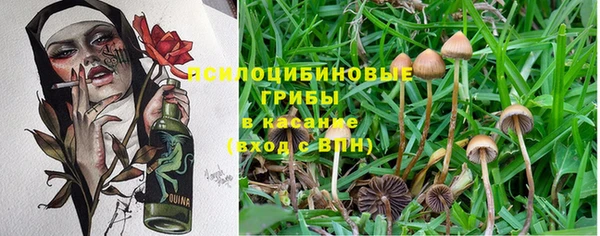 меф Абинск