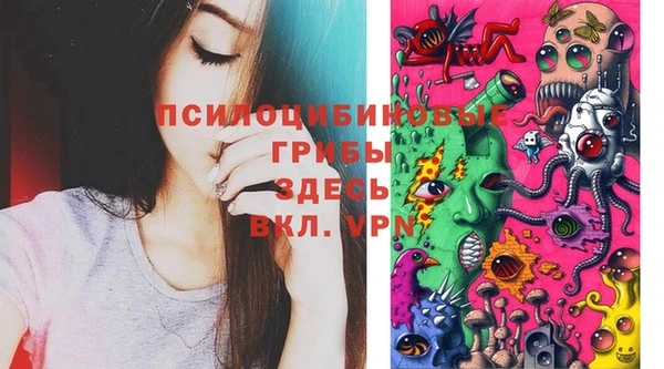 PSILOCYBIN Абдулино