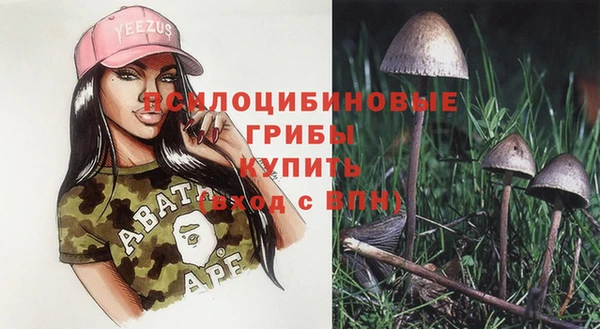 мдма Пересвет