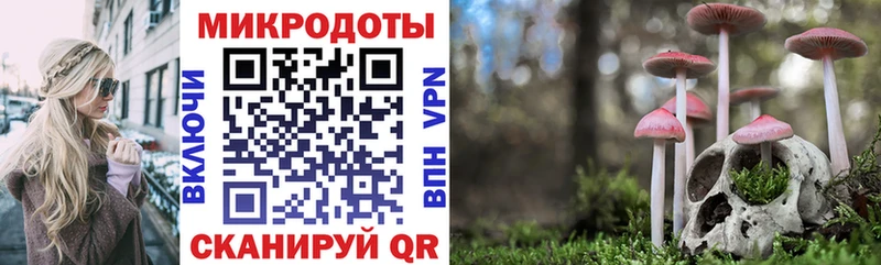 Галлюциногенные грибы Psilocybe  Нерчинск 